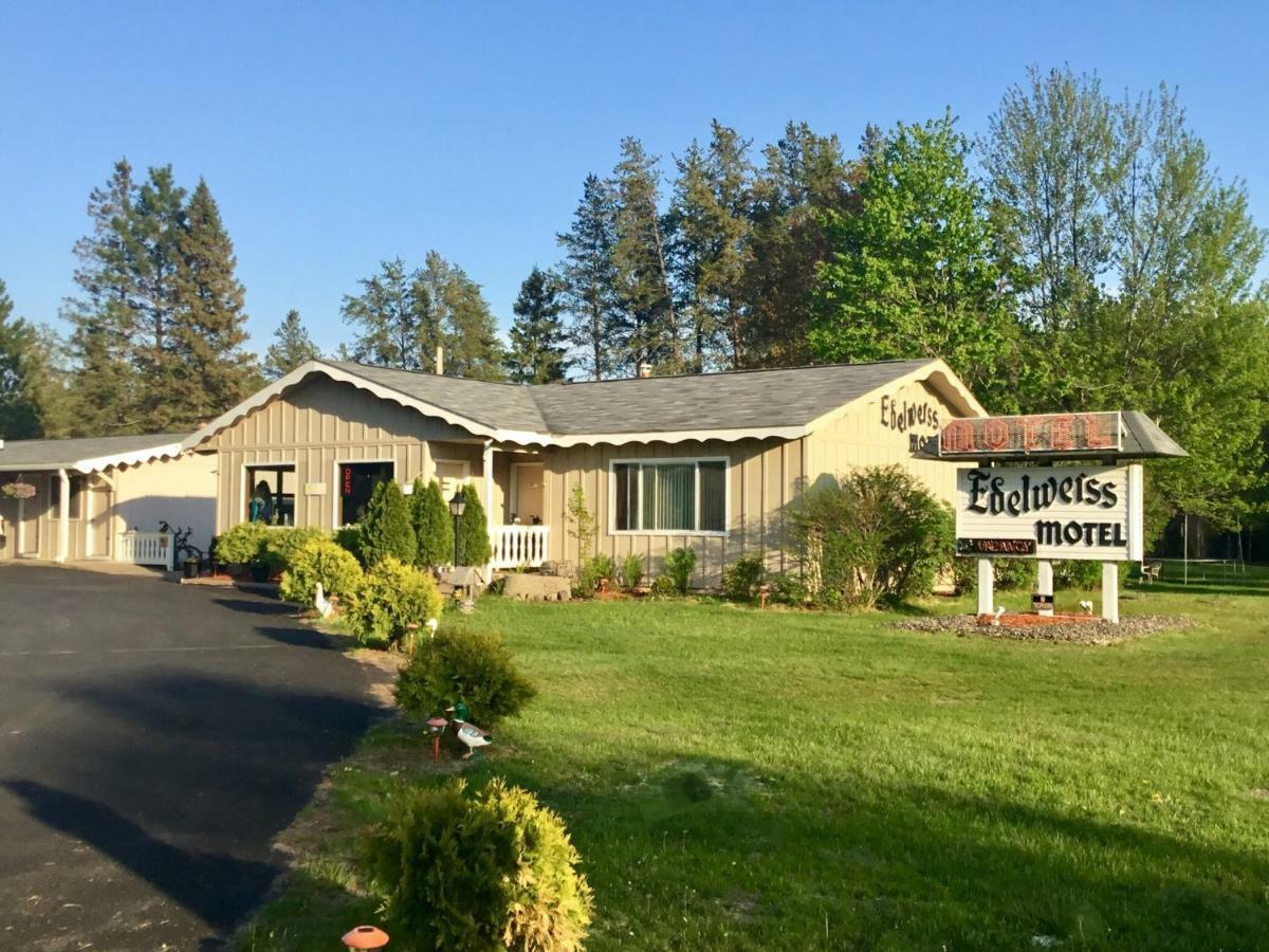 Edelweiss Motel Hayward Esterno foto