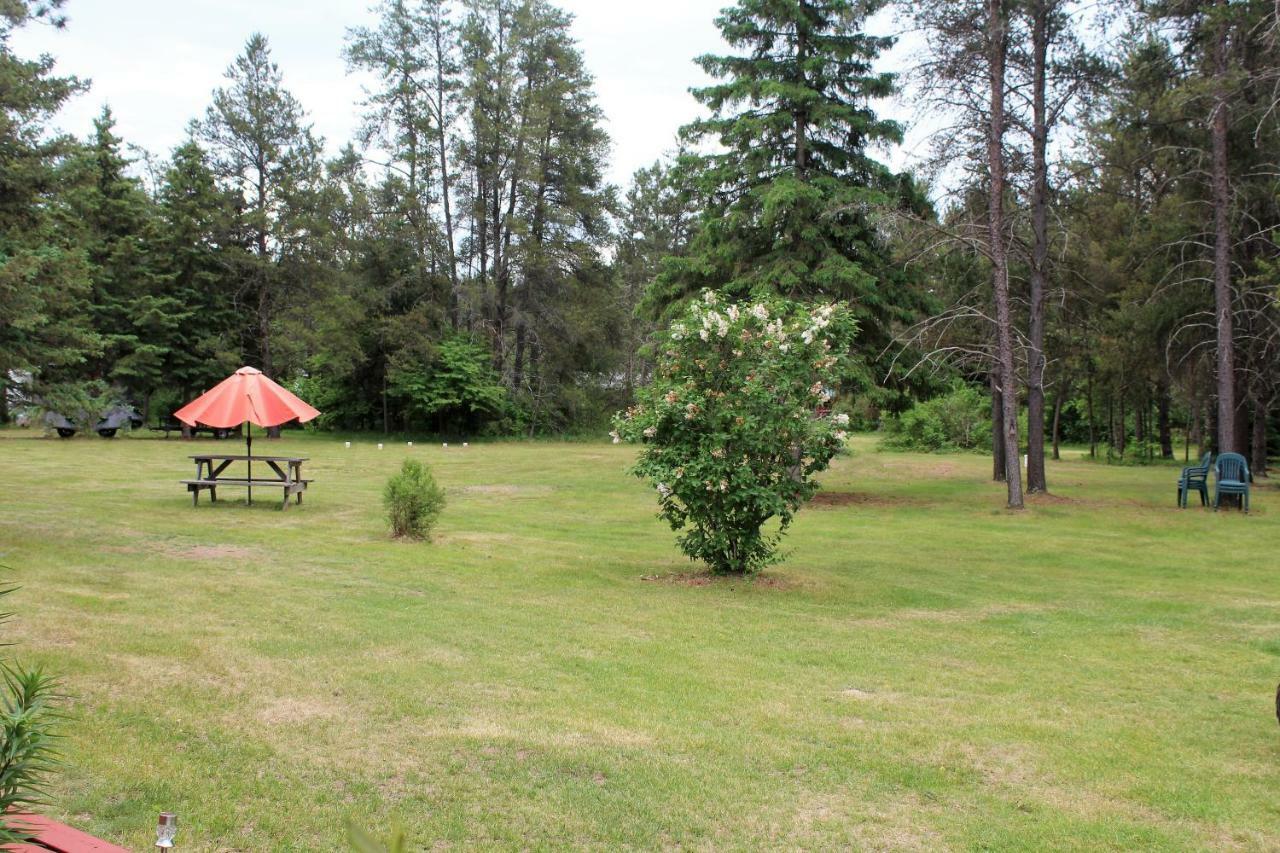 Edelweiss Motel Hayward Esterno foto